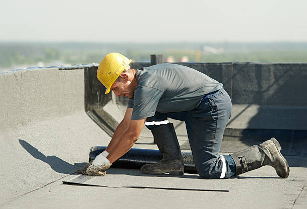 Best Eco-Friendly Insulation in Mariposa, CA